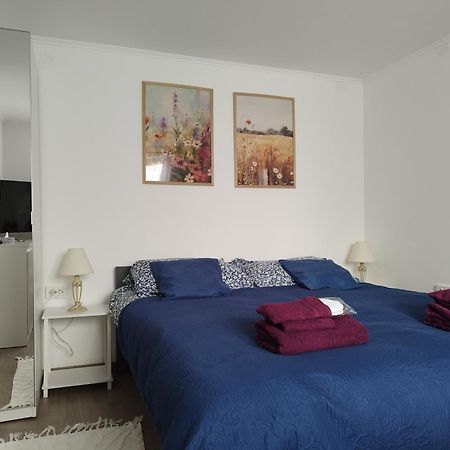 "Cattus" Studio Apartman Apartman Fužine Kültér fotó